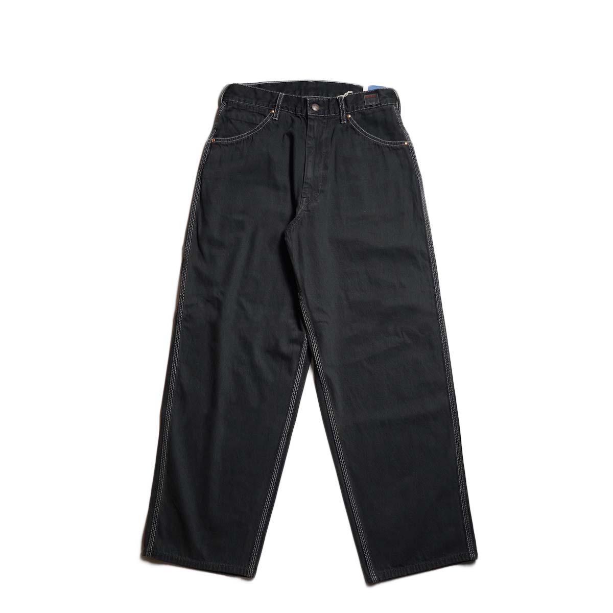 BIG MAC / DENIM PAINTER PANTS (Black Dye)