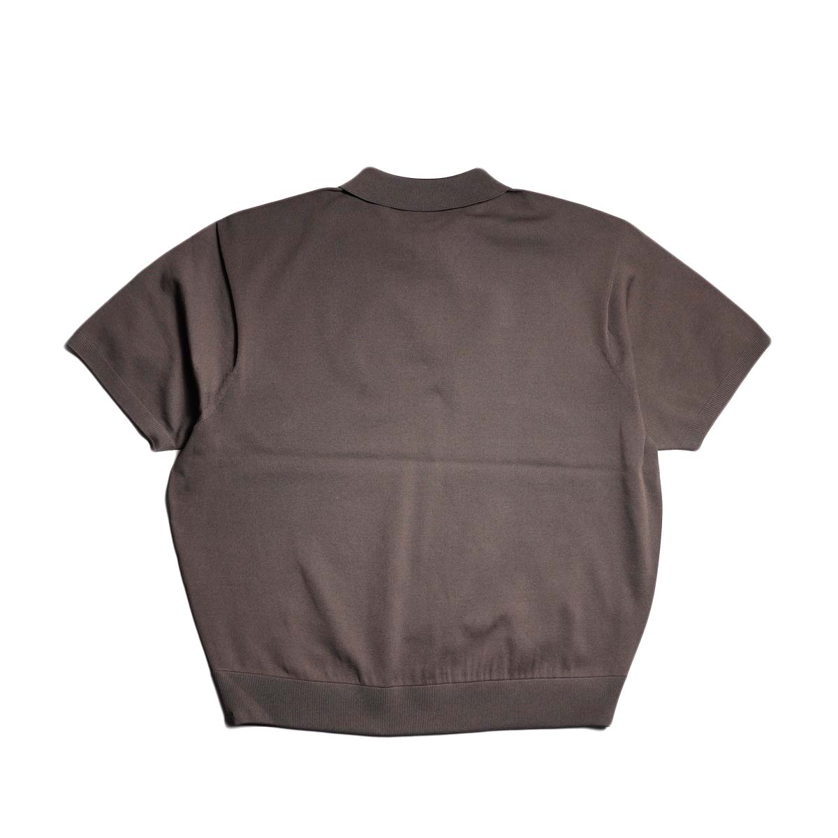 DAIWA PIER39 / W's TECH KNIT POLO S/S (Brown Grey)