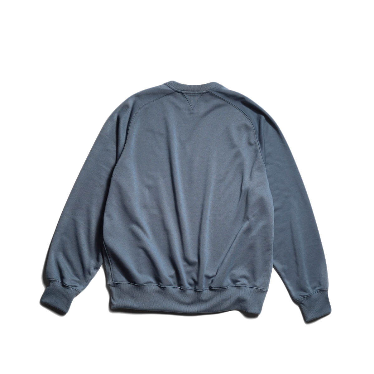 DAIWA PIER39 / TECH SWEAT CREW FREEDOM SLEEVE (Smoke Blue)