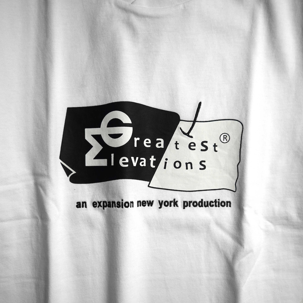 Engineered Garments × EXPANSION NY / GREATEST ELEVATIONS TEE (White)