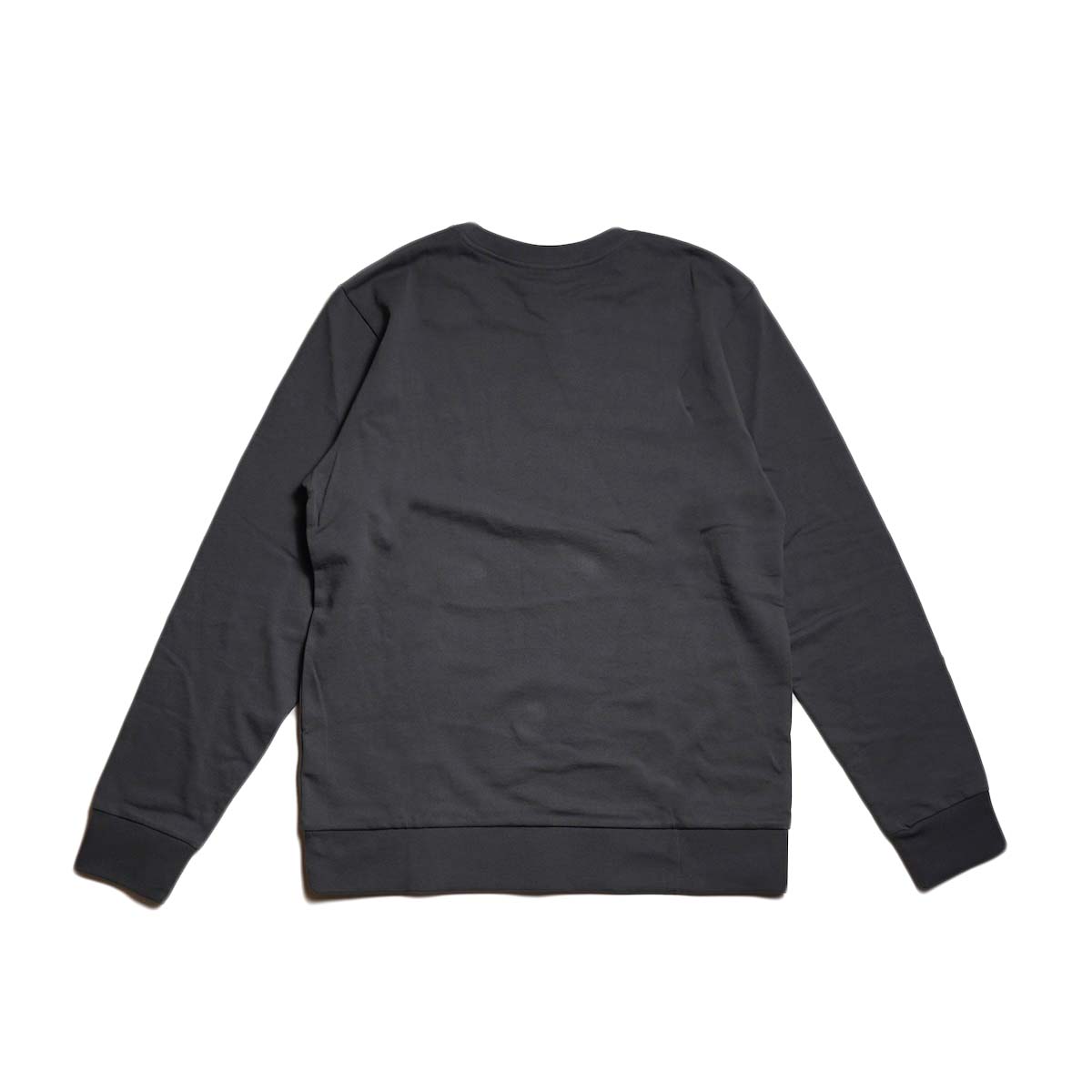 Patagonia / M"s DAILY CREW (Ink Black) 背面