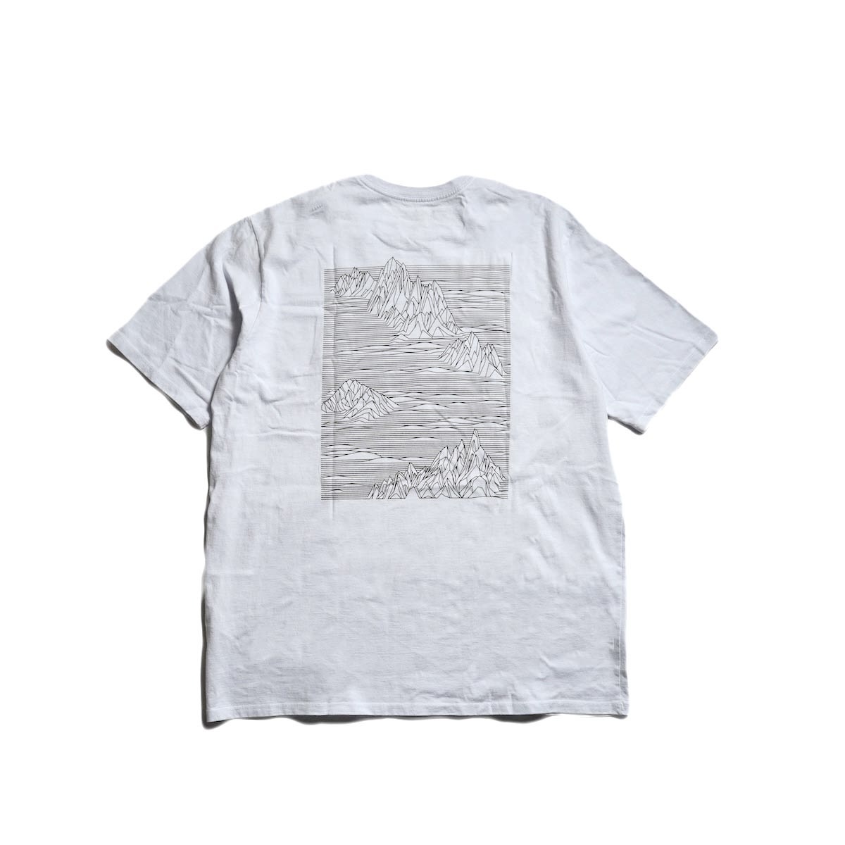 Patagonia / M"s Strataspire Responsibili Tee (White) 背面