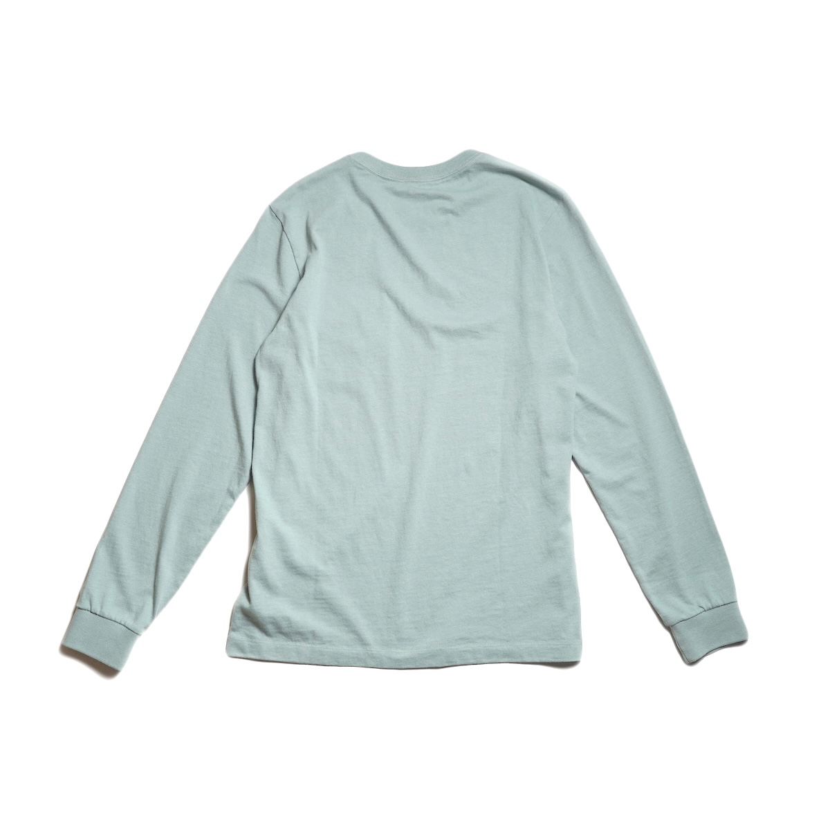 Patagonia / M"s L/S MIDWEIGHT "95 OVAL LOGO POCKET TEE (Cover Green) 背面