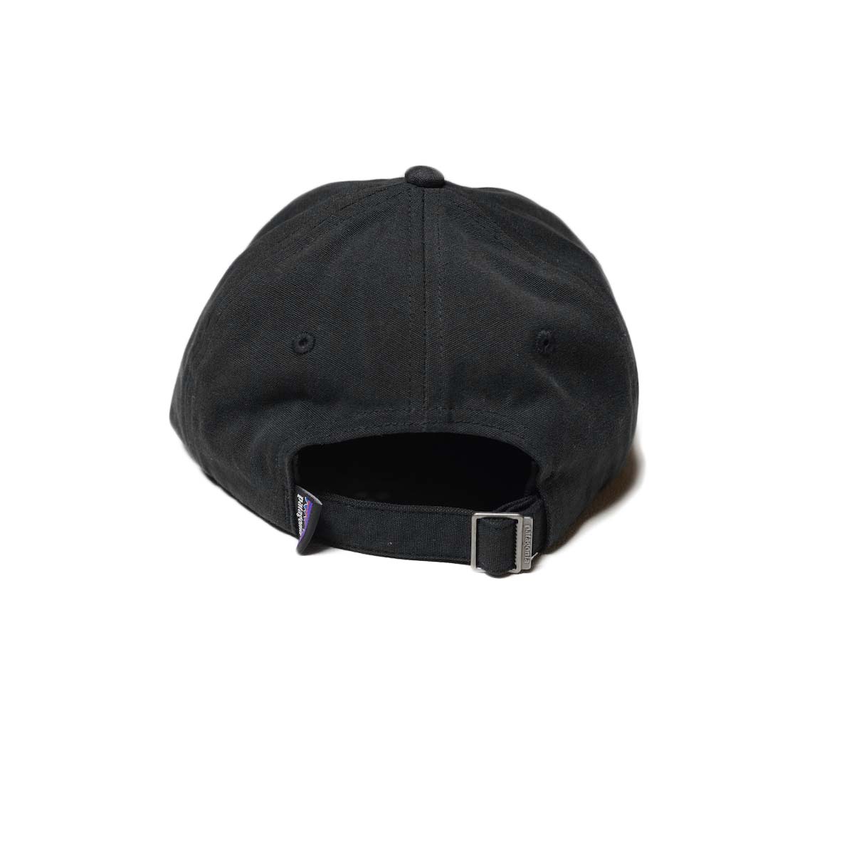 Patagonia / P-6 Label Trad Cap