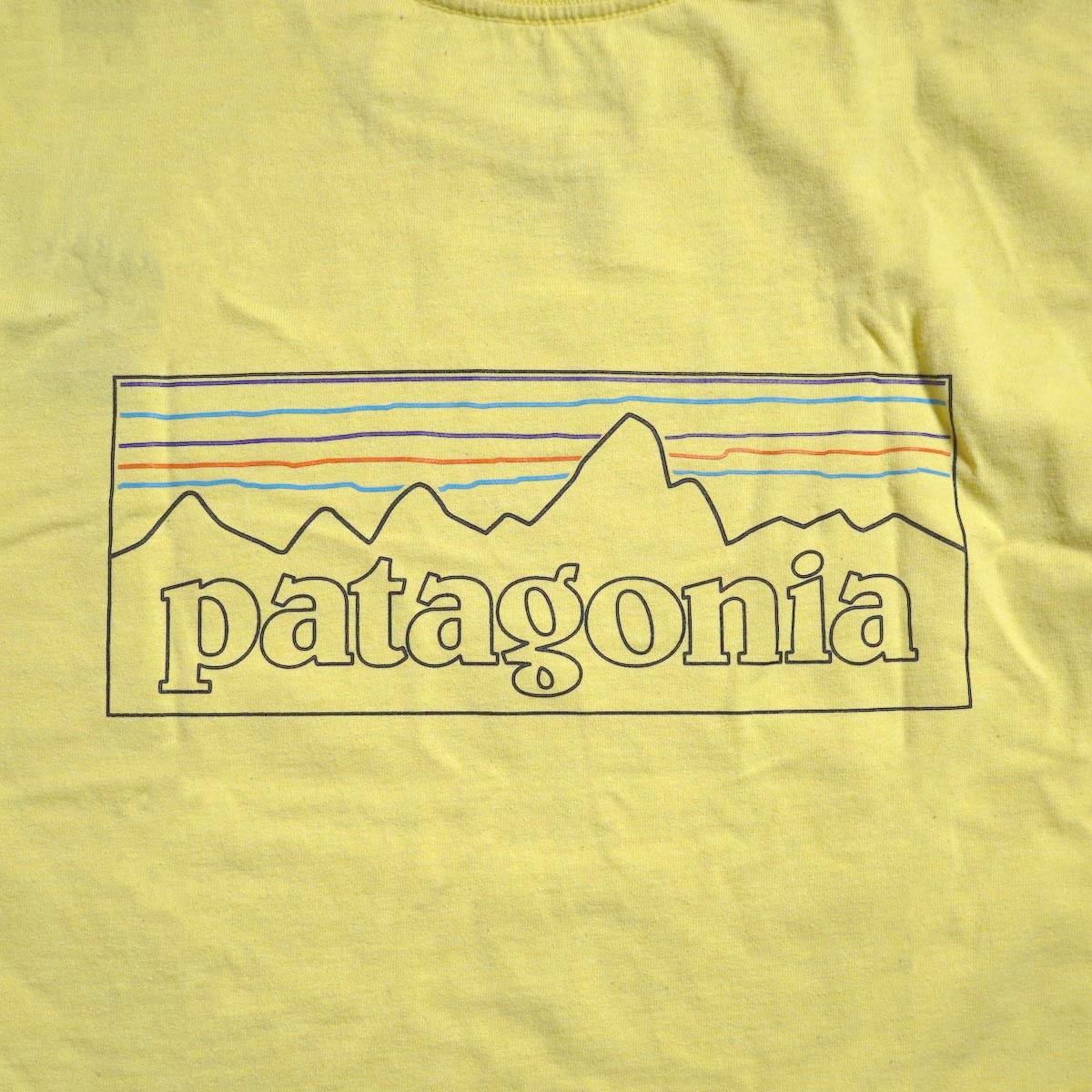 Patagonia / M"s P-6 Logo Responsibili Tee (Lemon Zest) バックプリント