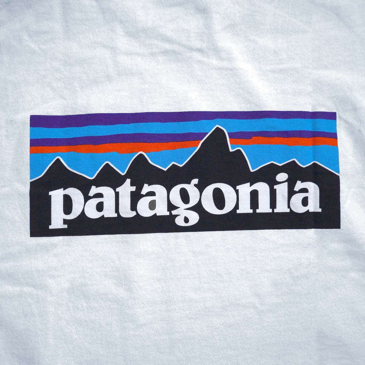 Patagonia / M"s P-6 Logo Responsibili Tee (White) バックプリント