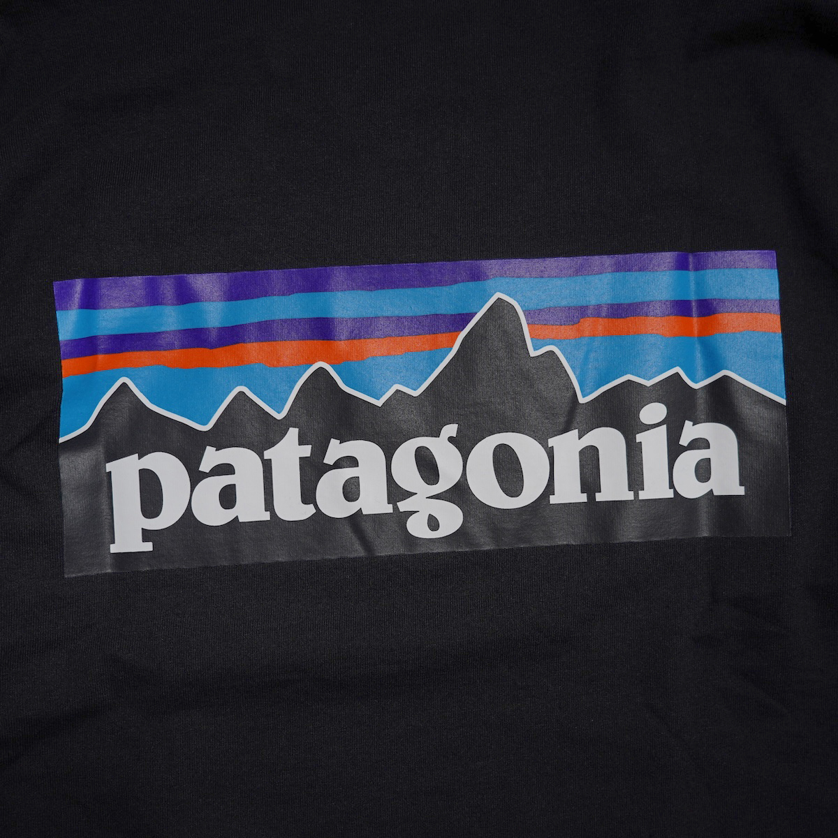 Patagonia / M"s L/S P-6 LOGO RESPONSIBILI TEE (Black) バックプリント
