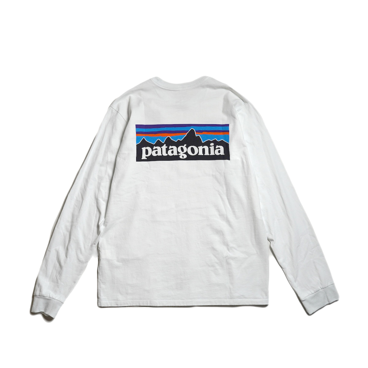 Patagonia / M"s L/S P-6 LOGO RESPONSIBILI TEE (Fiber White) 背面