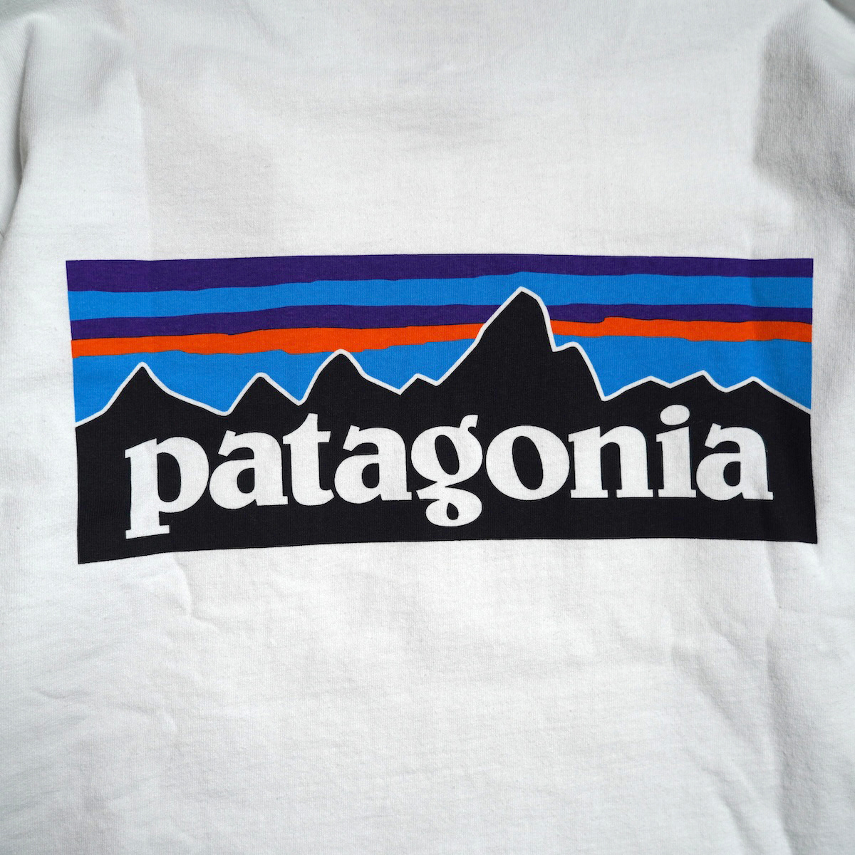 Patagonia / M"s L/S P-6 LOGO RESPONSIBILI TEE (Fiber White) バックプリント