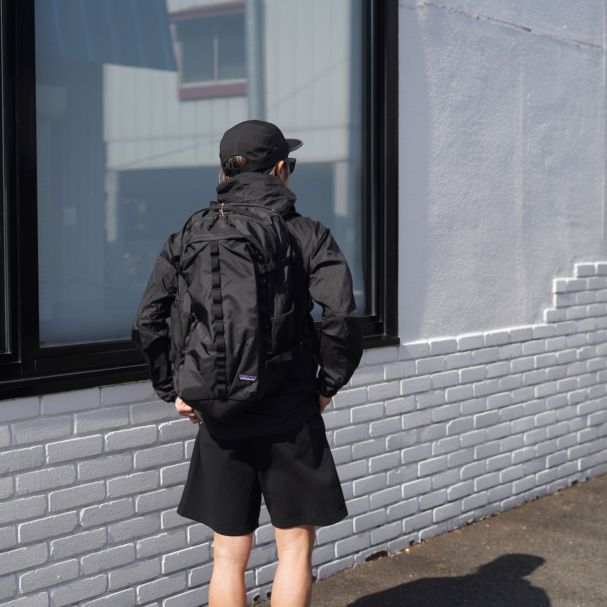 Patagonia / Refugio Day Pack 32L (Black)