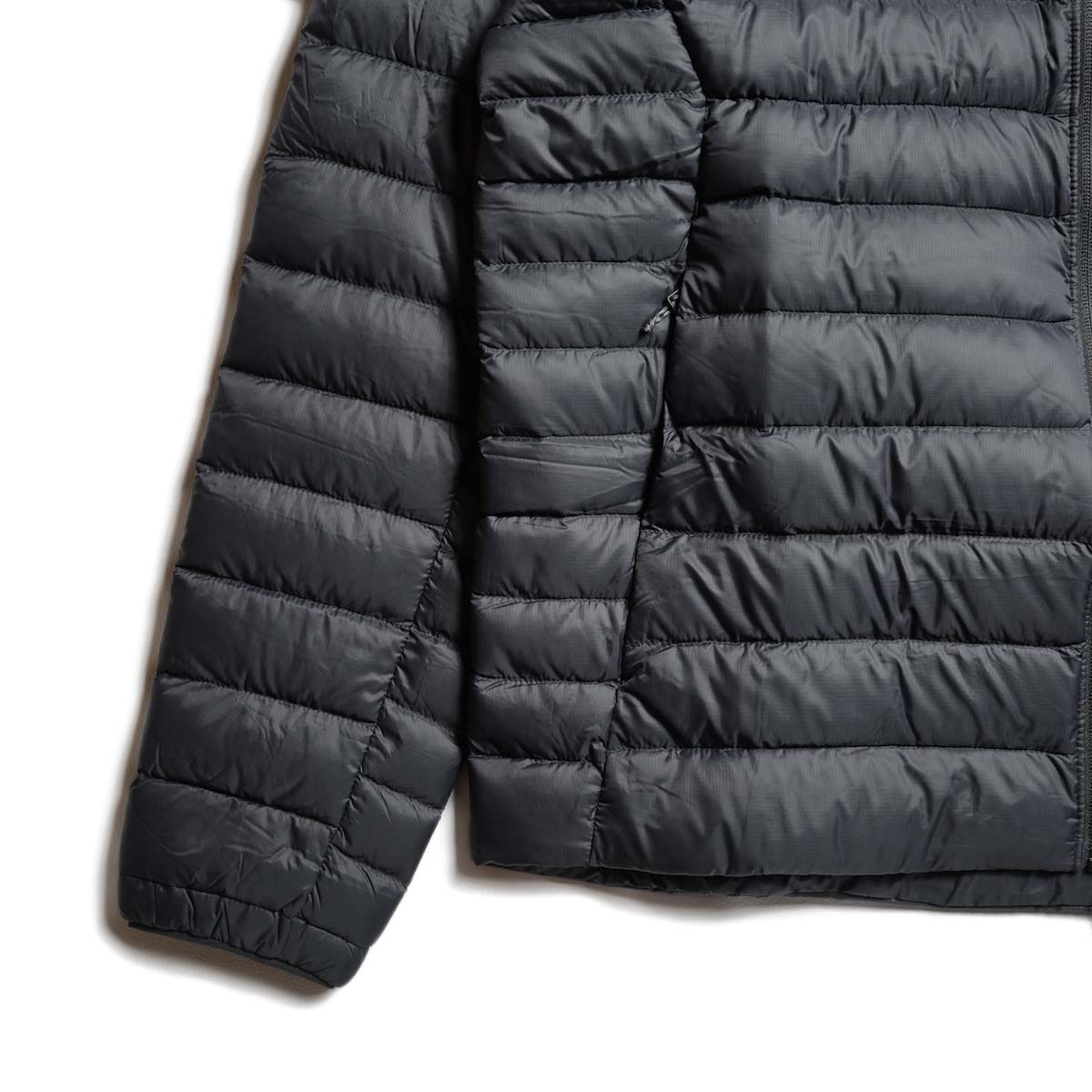 Patagonia / M"s DOWN SWEATER (Black) 袖