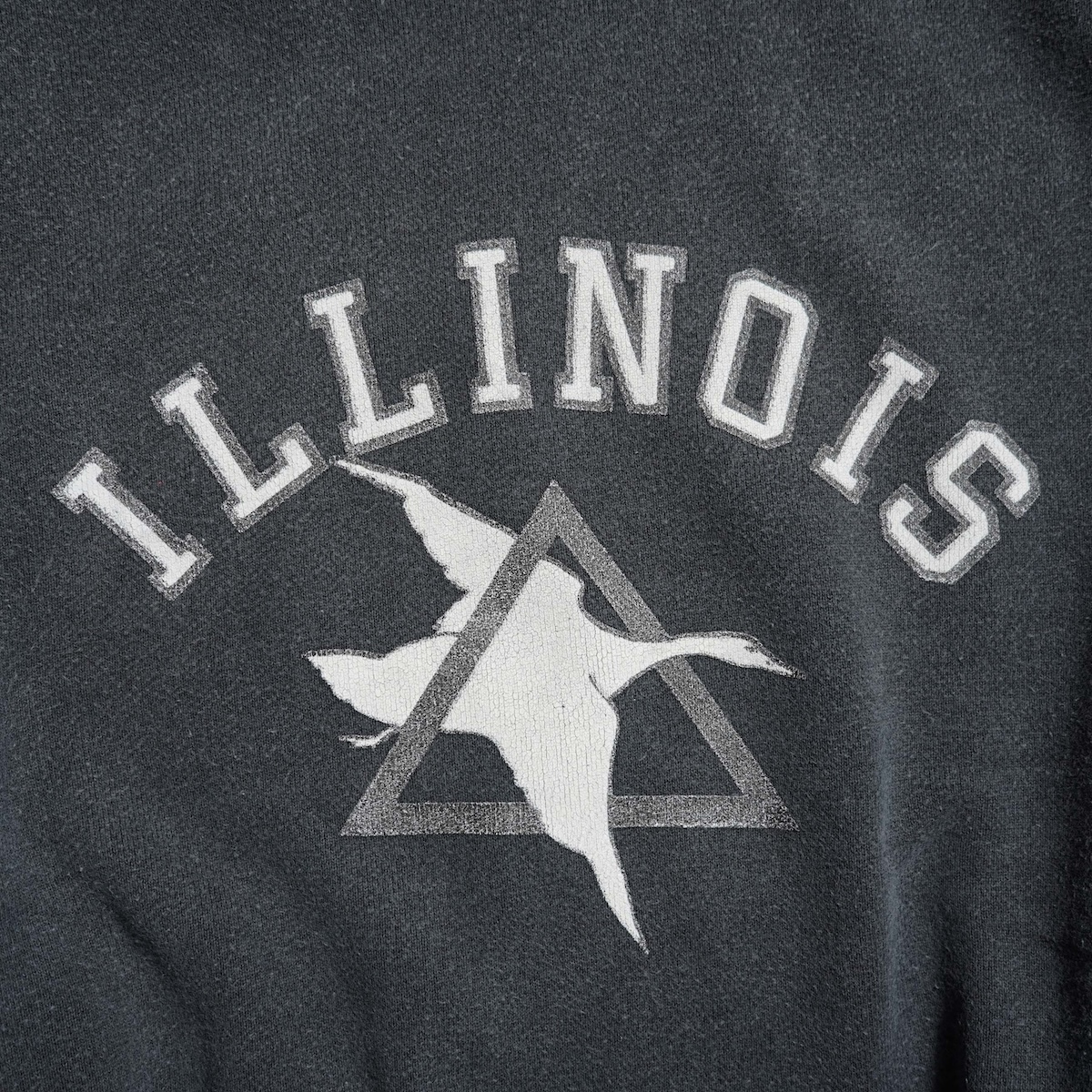 REMI RELIEF / ヴィンテージ裏毛クルー - ILLINOIS (Black) プリント