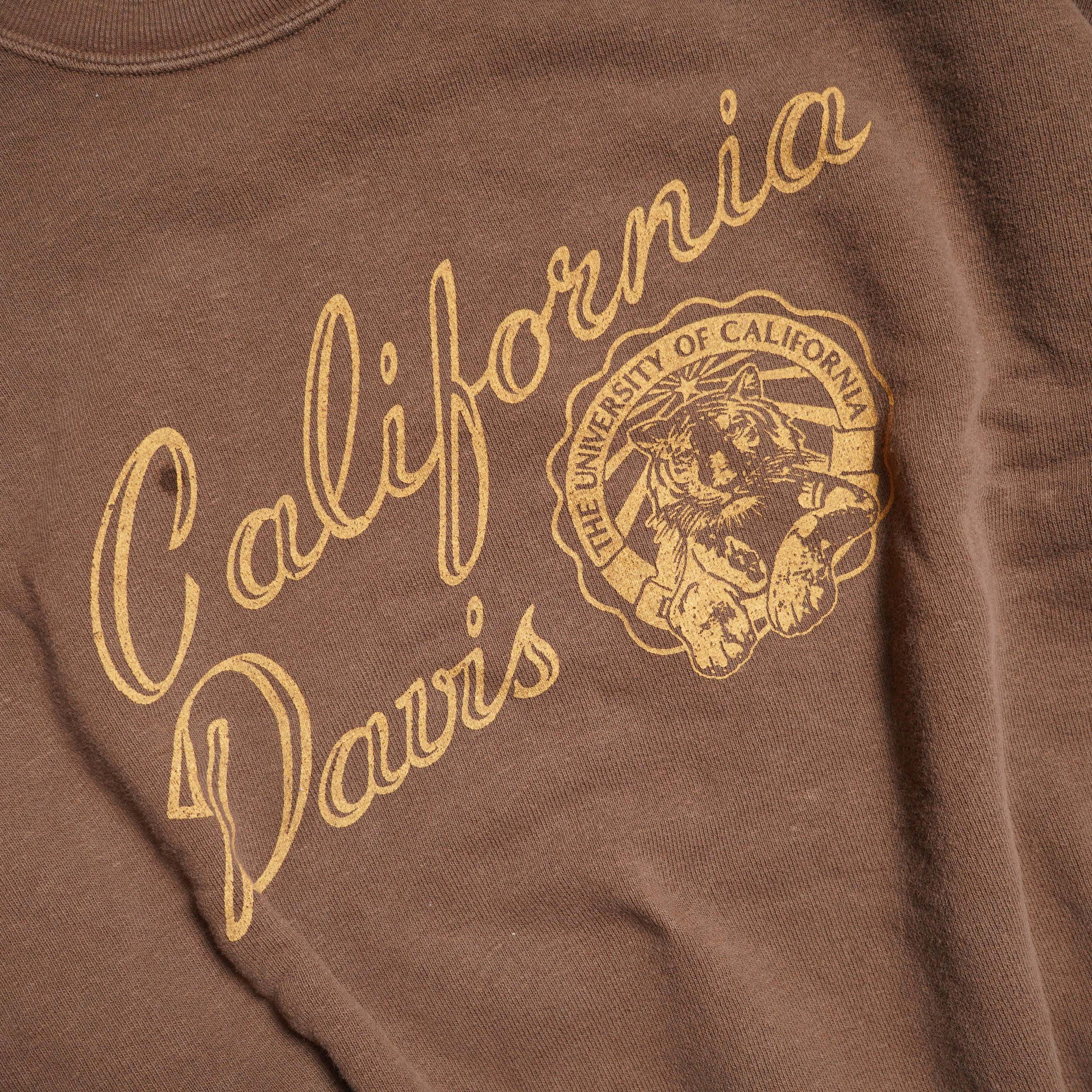 REMI RELIEF / SP加工３飛び裏毛クルー -California Davis- (Brown) プリント